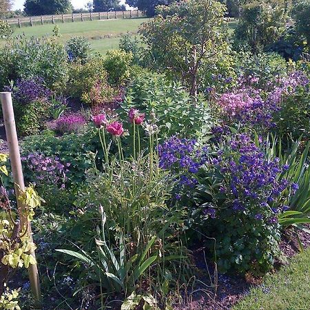 Coxley House Bed and Breakfast Wells Buitenkant foto