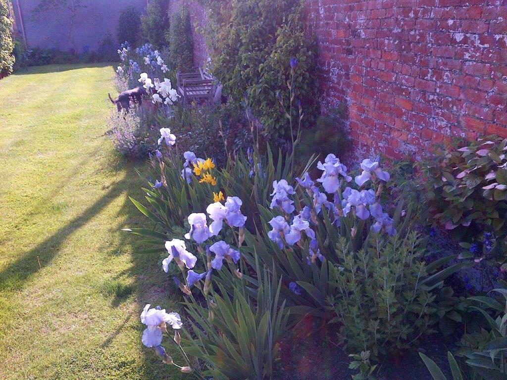 Coxley House Bed and Breakfast Wells Buitenkant foto