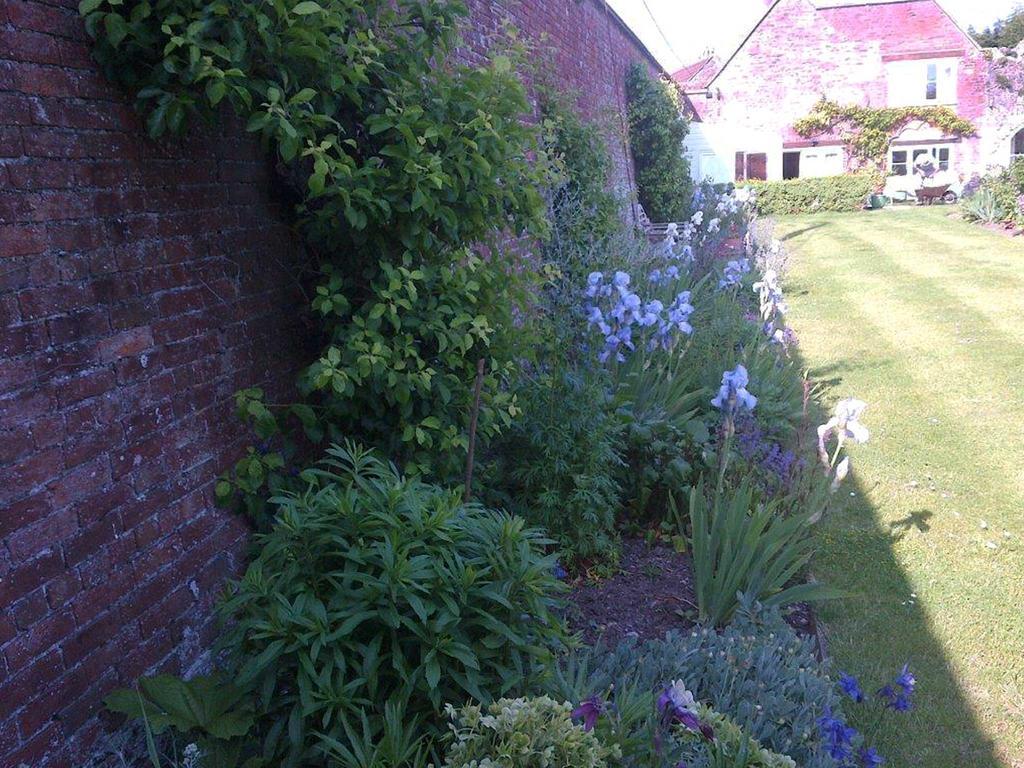 Coxley House Bed and Breakfast Wells Buitenkant foto